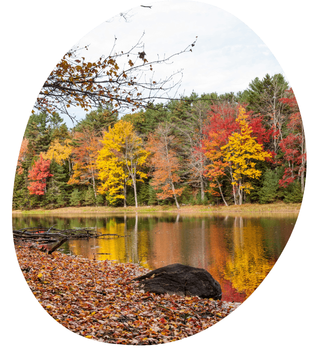 Fall colors along the Hay River in Ridgeland, WI